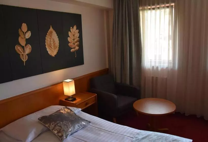 スーペリアシングルルーム, Hôtel Des Trois Rois