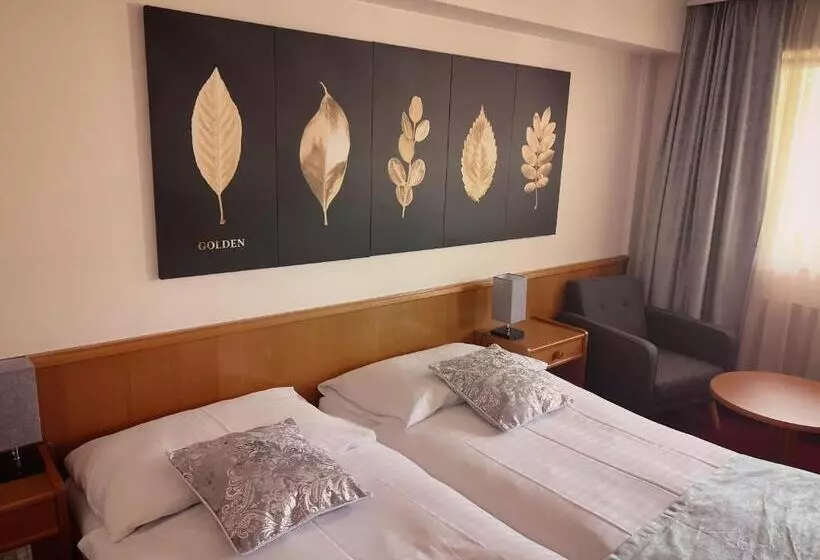 スーペリアシングルルーム, Hôtel Des Trois Rois