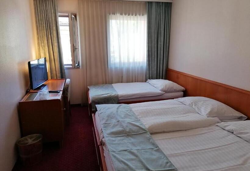 חדר בסיסי לשלושה, Hôtel Des Trois Rois