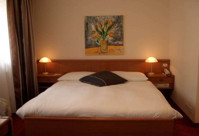 수피리어 룸, Hôtel Des Trois Rois