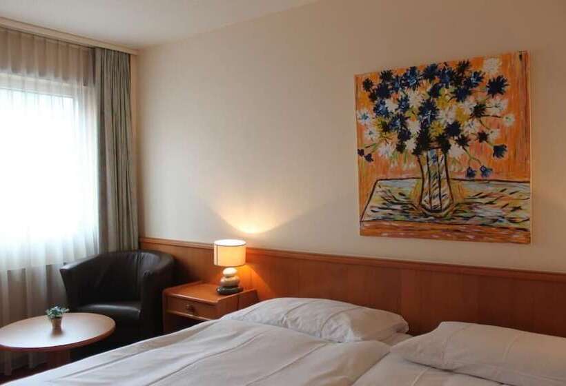 수피리어 룸, Hôtel Des Trois Rois