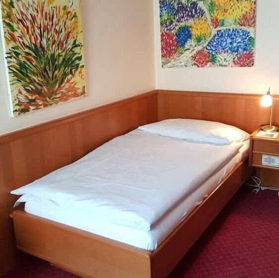 חדר סטנדרט יחיד, Hôtel Des Trois Rois