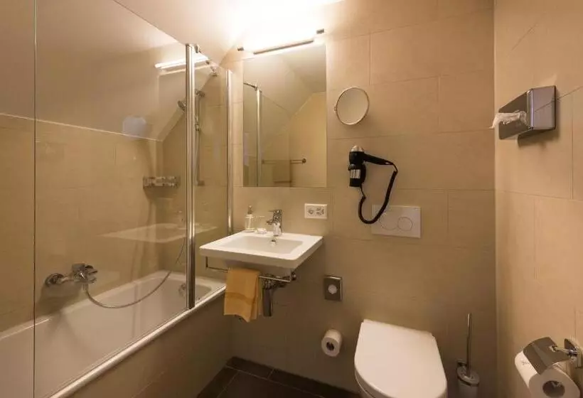 Standard Single Room, Restaurant Hirschen