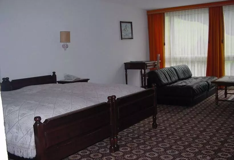 اتاق استاندارد با چشمانداز کوهستان, Regina Terme