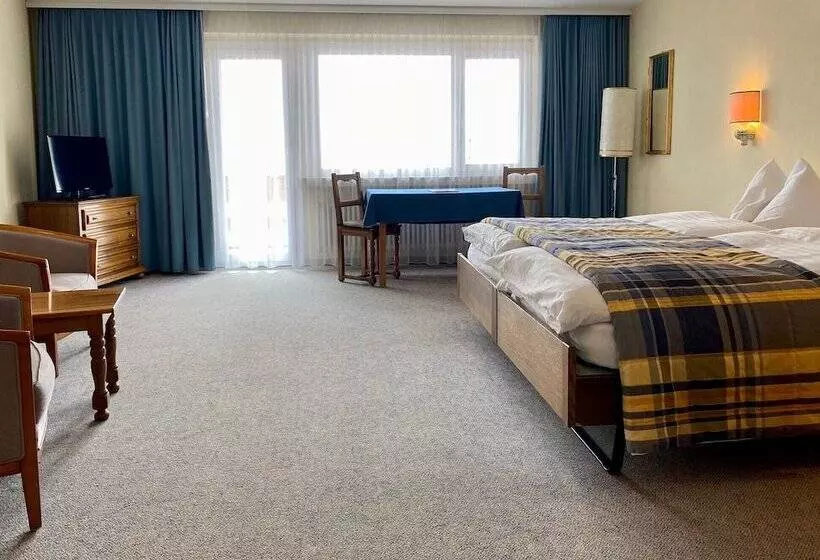 اتاق سوپریور با چشمانداز کوهستان, Regina Terme