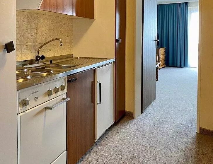 اتاق سوپریور با چشمانداز کوهستان, Regina Terme