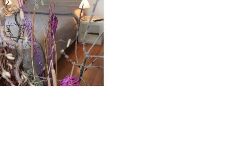 חדר סטנדרט עם נוף, Vesta Domus