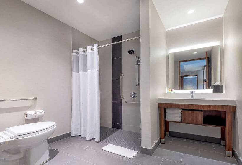 Люкс Адаптированный для Инвалидов, Hyatt Place Bogota Convention Center