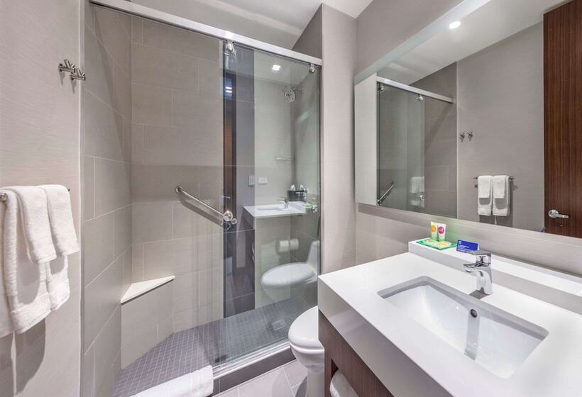 Люкс Адаптированный для Инвалидов, Hyatt Place Bogota Convention Center