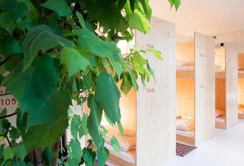 تختخواب در اتاق مشترک, The Green Elephant Hostel & Spa