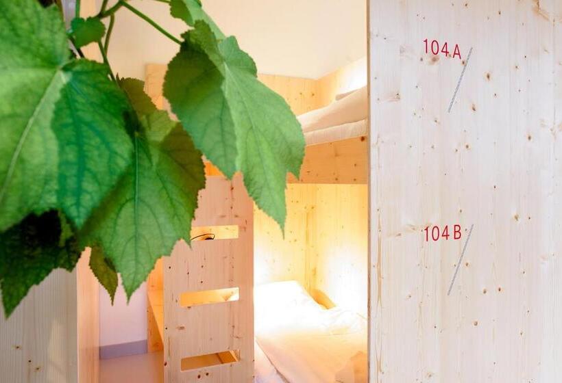 تختخواب در اتاق مشترک, The Green Elephant Hostel & Spa