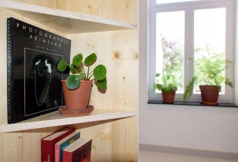 スタンダード４人部屋, The Green Elephant Hostel & Spa