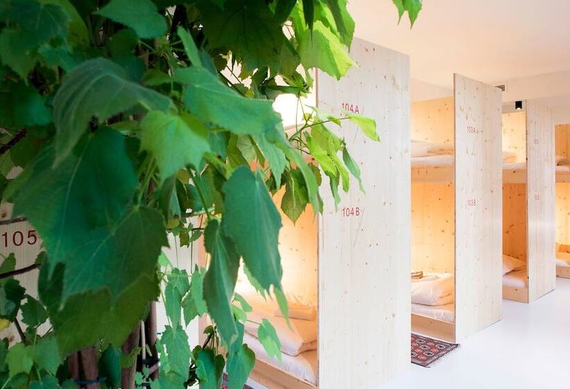 تختخواب در اتاق مشترک, The Green Elephant Hostel & Spa