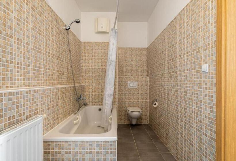 Superior-huoneisto 1 Makuuhuone, Vagabond Downtown