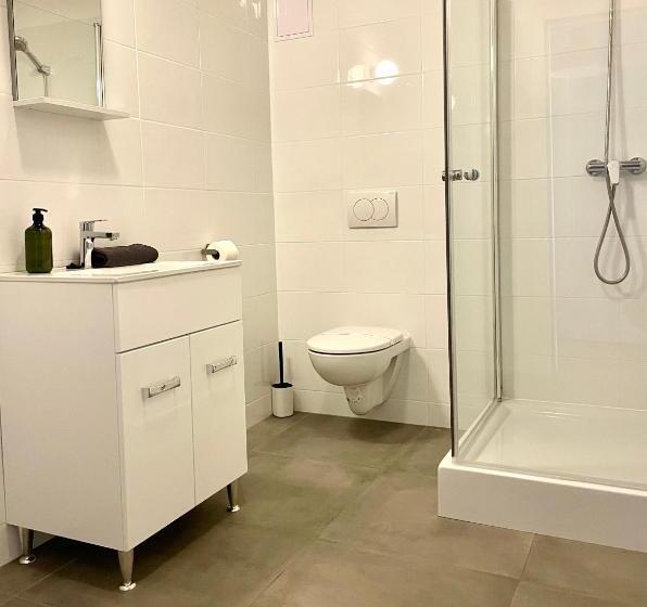 Deluxe-huoneisto 1 Makuuhuone, Vagabond Downtown