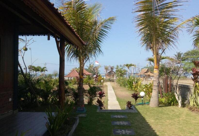 Номер Deluxe Вид на Море с Балконом, Emir Surfcamp