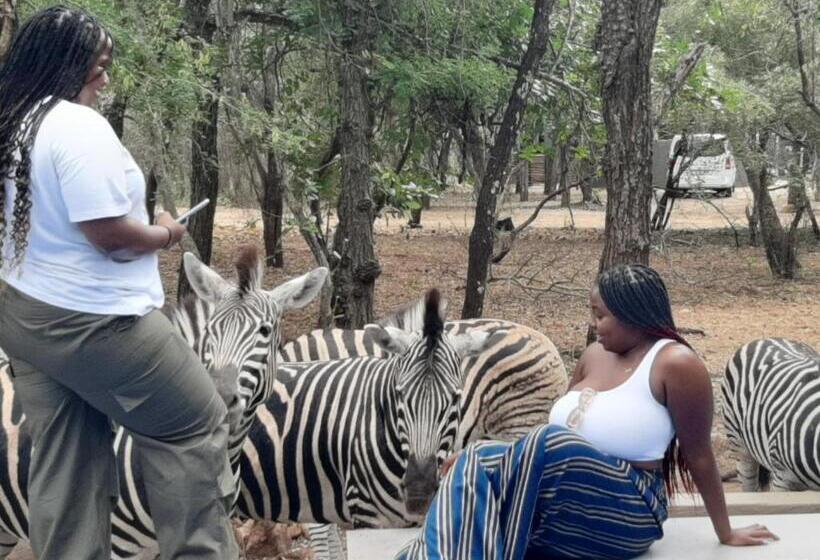 ویلای 2 خوابه, African Sky Villas