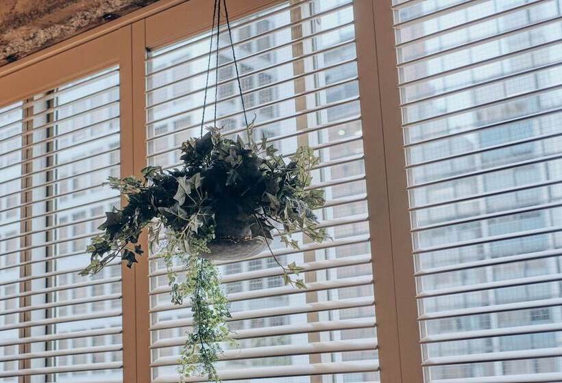 标准间, The Boly Osaka