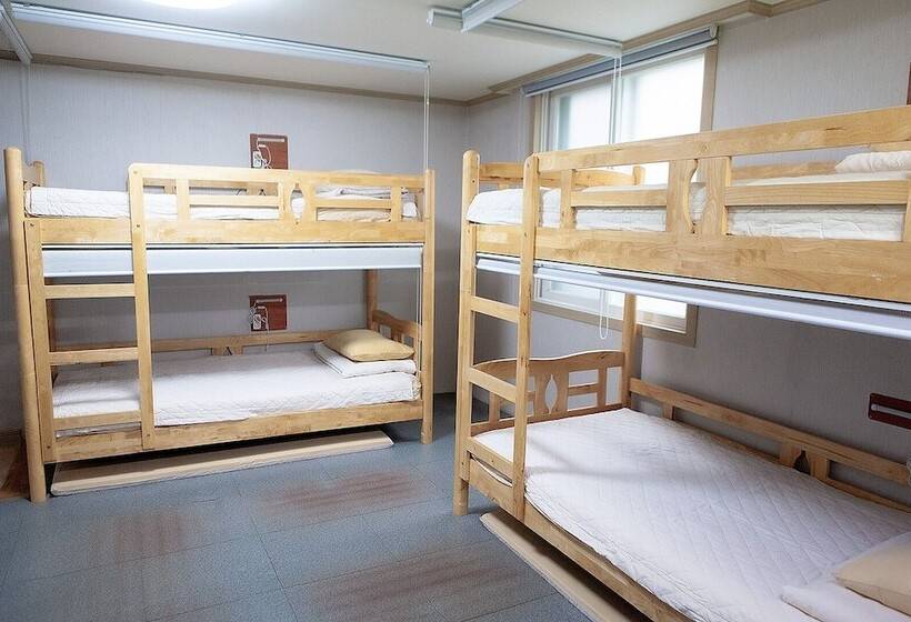 اتاق استاندارد چهار تخته, Mihojae Hostel Busan