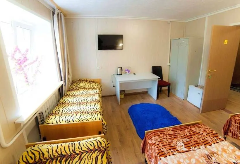 تختخواب در اتاق مشترک, Hostel Sfera