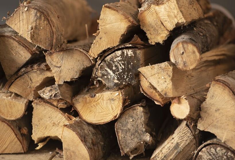 چادر با خدمات رفاهی استاندارد, Trysil Glamping