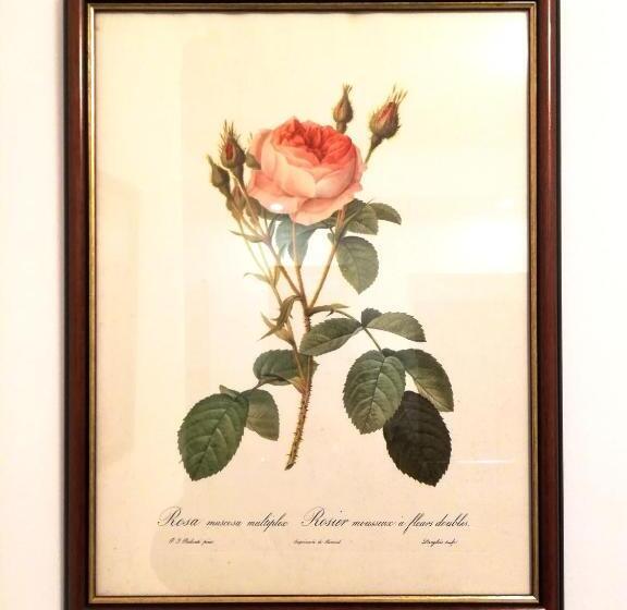 غرفة قياسية, Casa Do Peso