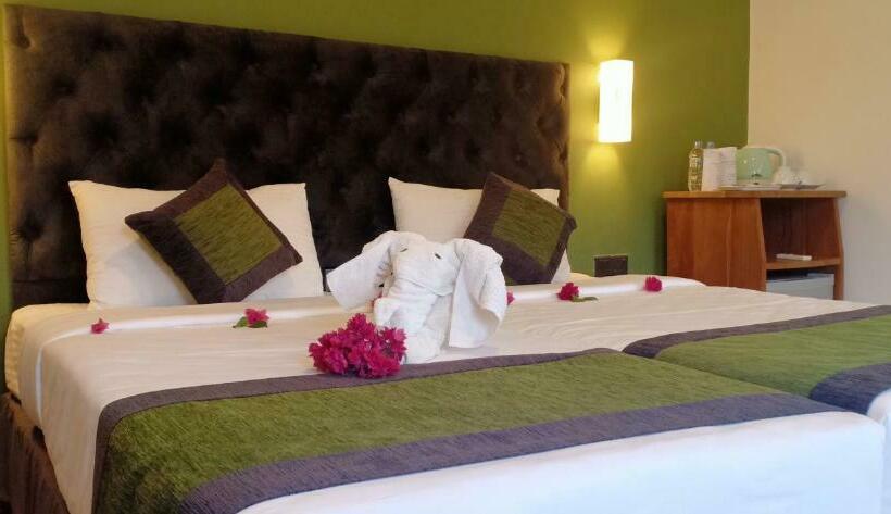 豪华房间, Capital Regency