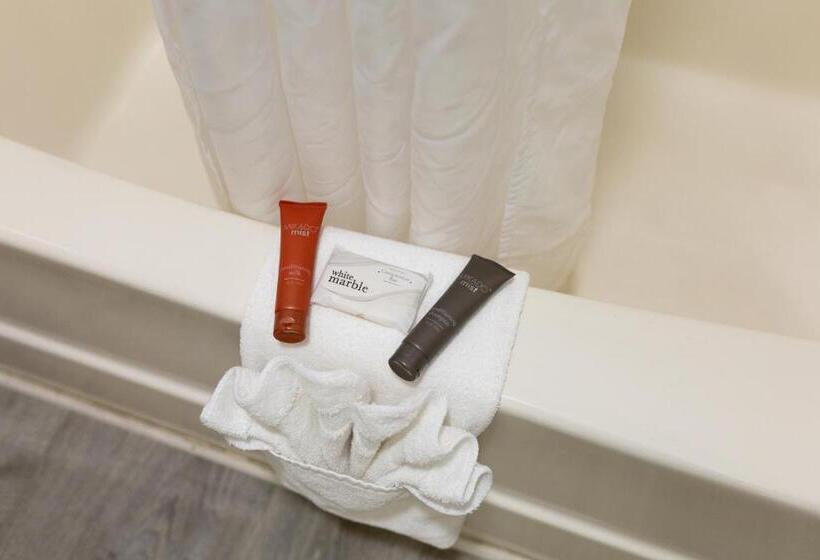 스탠다드 룸 킹사이즈 침대, Admiral Motel