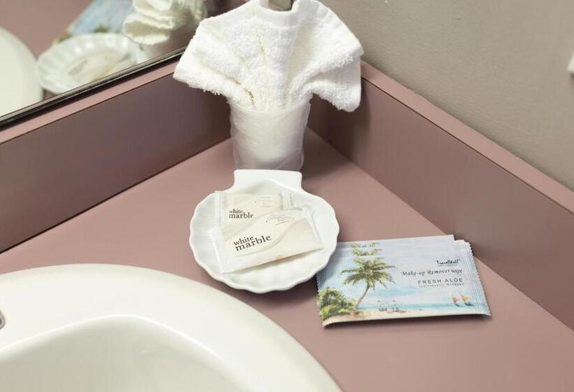 스탠다드 룸 킹사이즈 침대, Admiral Motel