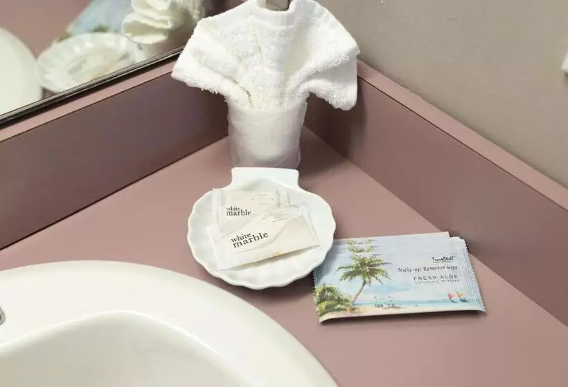 اتاق استاندارد با تخت بزرگ, Admiral Motel