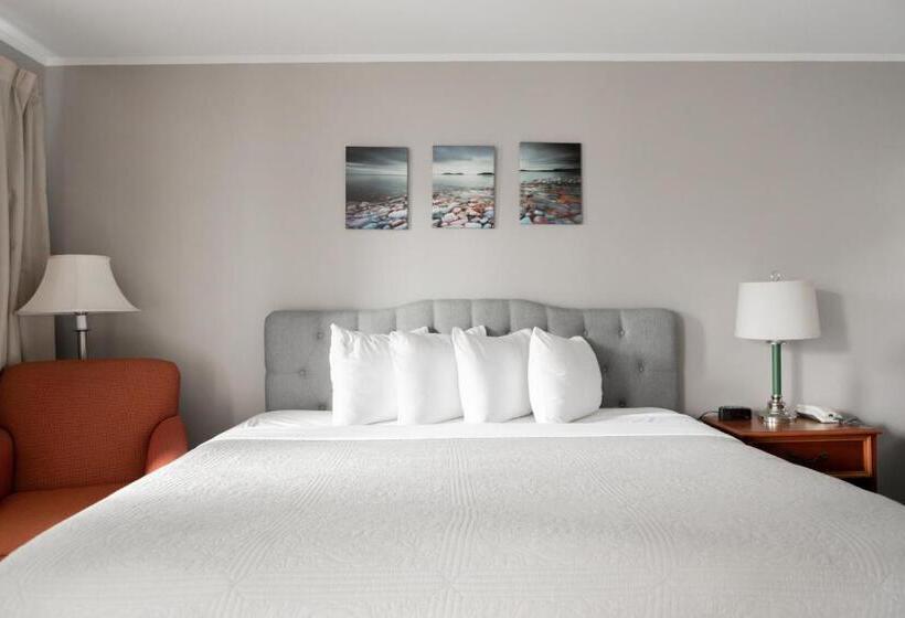 스탠다드 룸 킹사이즈 침대, Admiral Motel