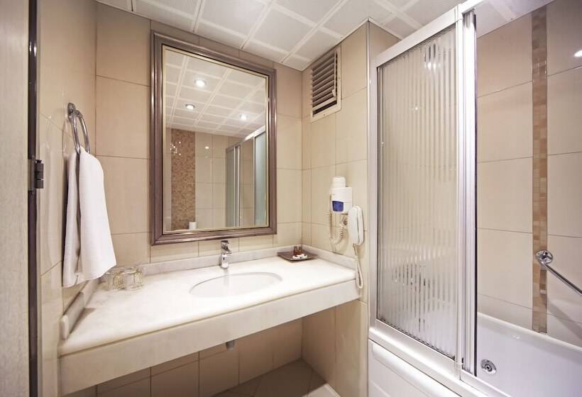 اتاق استاندارد, The Parma Hotel Downtown