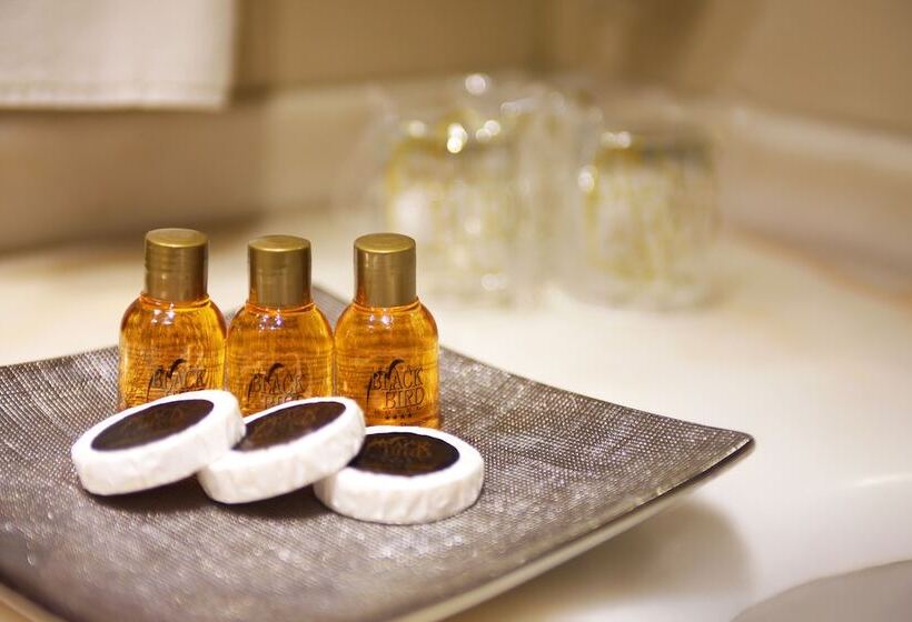 اتاق خانوادگی, The Parma Hotel Downtown