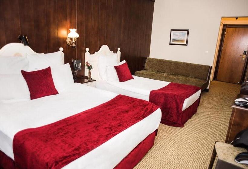 スタンダードトリプルルーム, Kartal