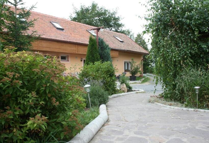 1 Szobás Tetőtéri Apartman, Penzion Hugo