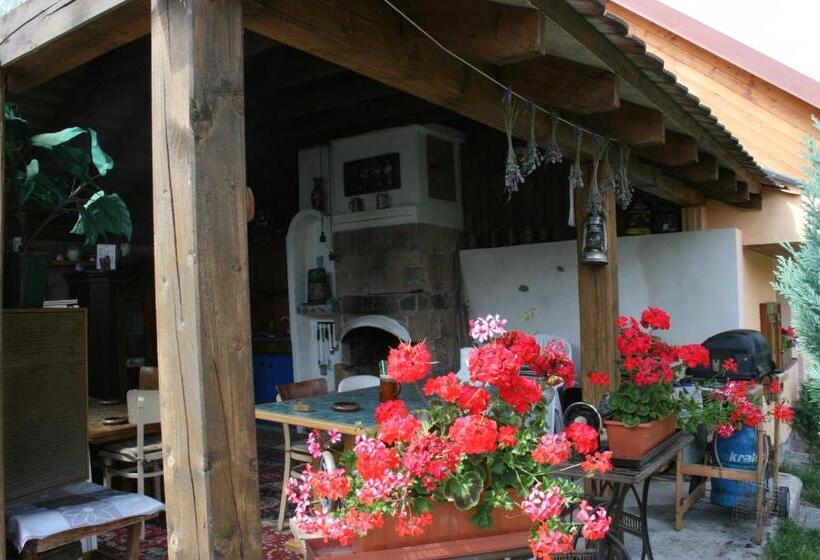 Egyágyas Standard Szoba Megosztott Fürdővel, Penzion Hugo