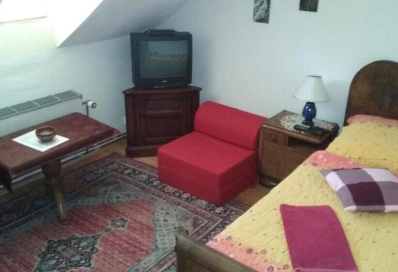 Egyágyas Standard Szoba Megosztott Fürdővel, Penzion Hugo