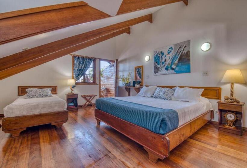 اتاق پریمیوم یک تخته, Bocas Del Toro