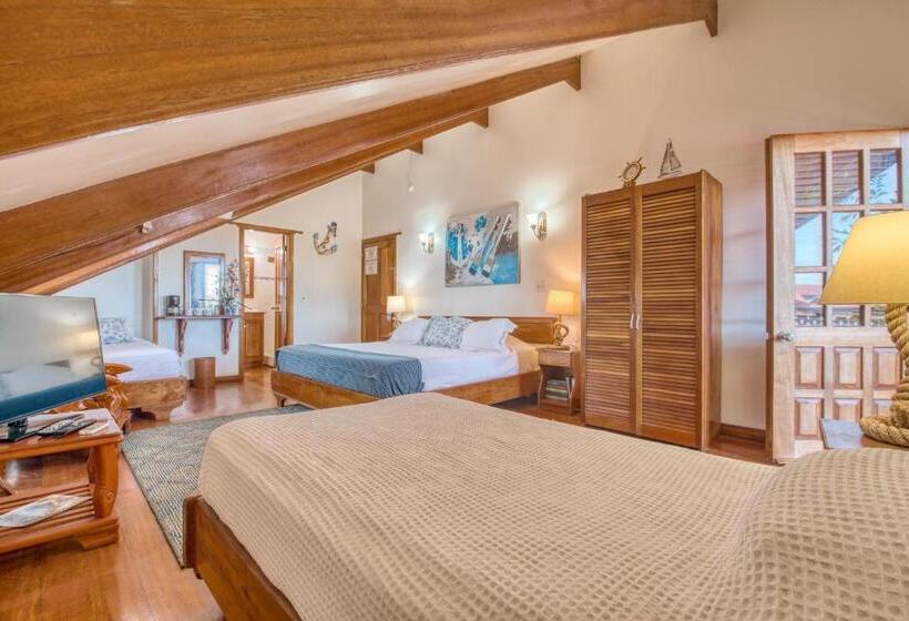 اتاق پرمیوم, Bocas Del Toro