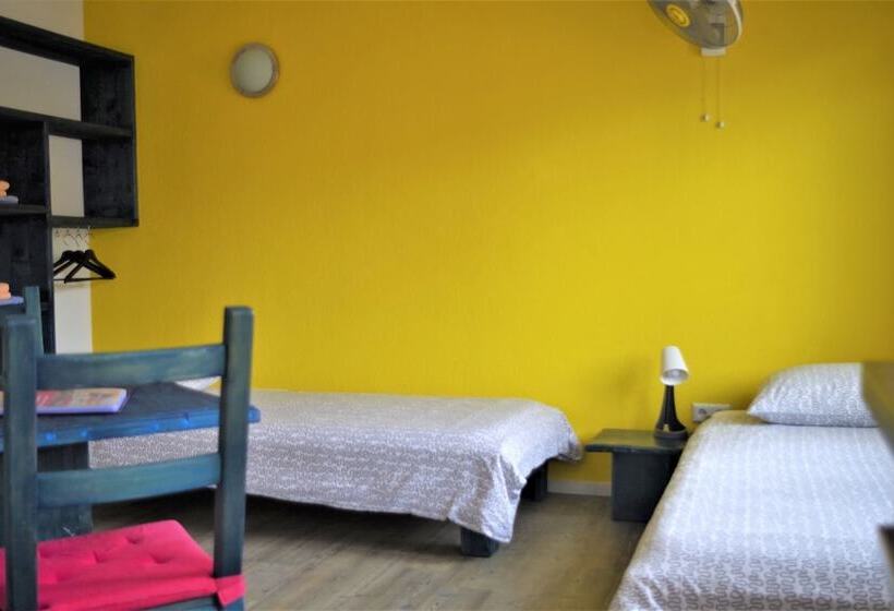 استودیوی استاندارد, Willemstad Resort