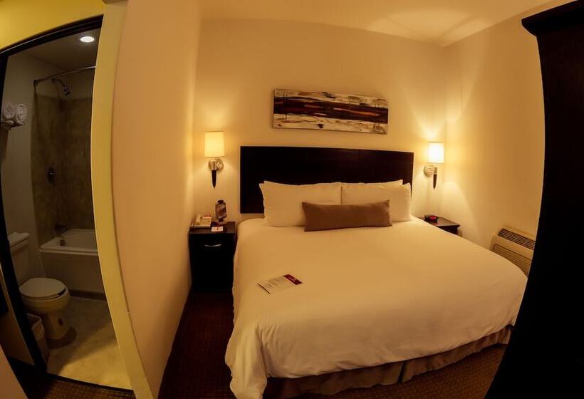 סוויטת ג'וניור, Barrokas Hotel & Suites