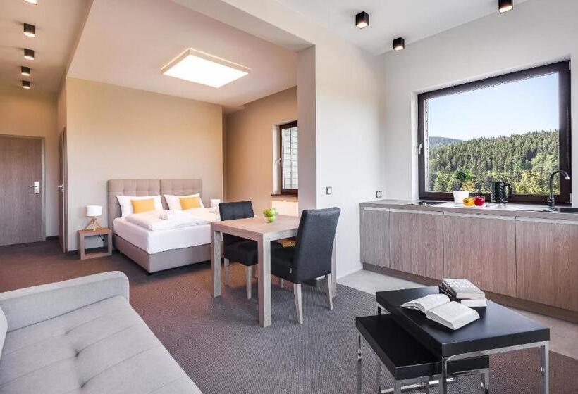 شقة كومفورت غرفة نوم واحدة, Czarny Kamień Resort & Spa