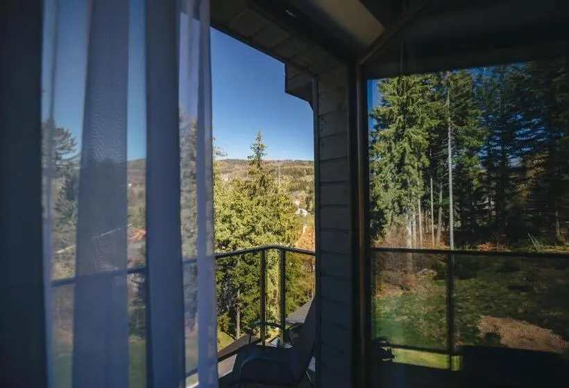 １ベッドルームのコンフォーとアパートメント, Czarny Kamień Resort & Spa