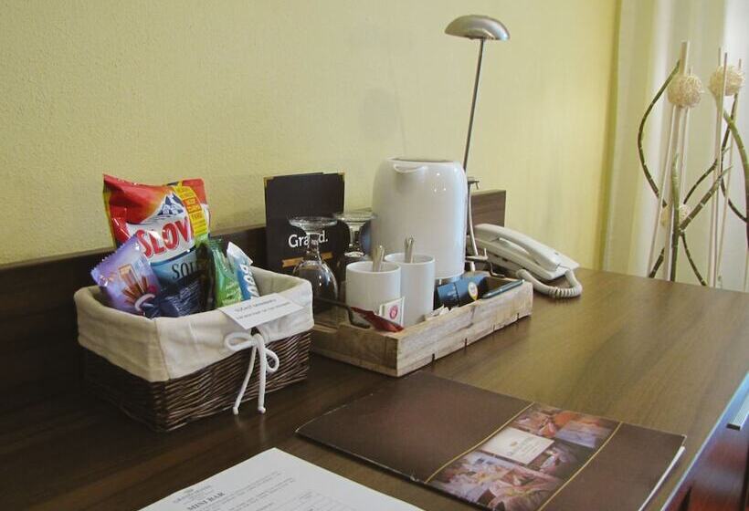 شقة سوبريور غرفة واحدة, Grand Hotel Senica, Garni