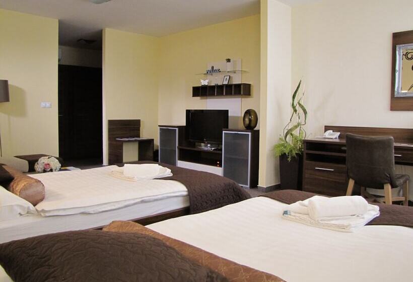 شقة سوبريور غرفة واحدة, Grand Hotel Senica, Garni