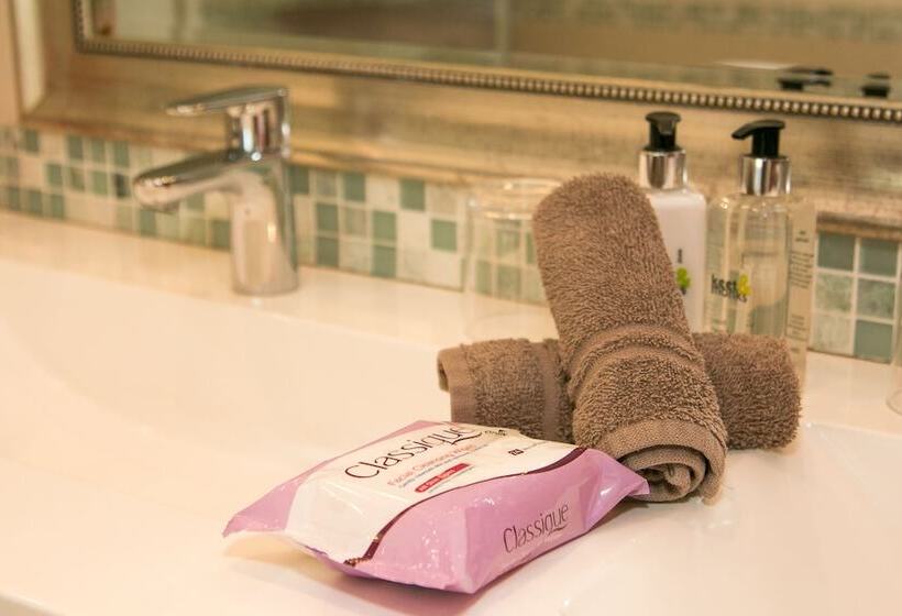 豪华房间, Vredenburg Manor House