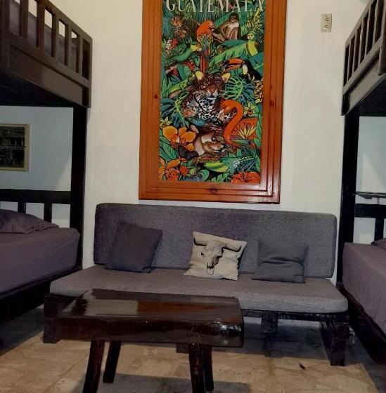 اتاق استاندارد چهارنفره با سرویس بهداشتی مشترک, The Roof Backpackers