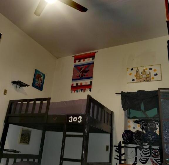 اتاق استاندارد چهارنفره با سرویس بهداشتی مشترک, The Roof Backpackers