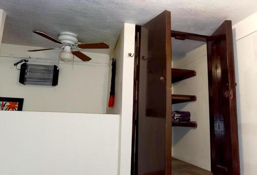 اتاق استاندارد با سرویس بهداشتی مشترک, The Roof Backpackers