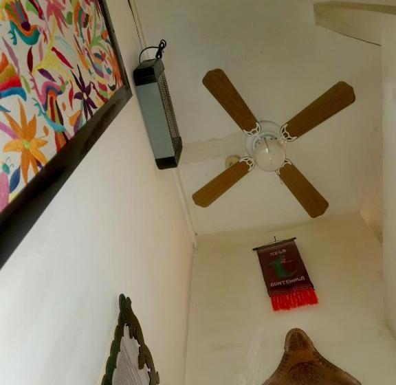 اتاق استاندارد با سرویس بهداشتی مشترک, The Roof Backpackers